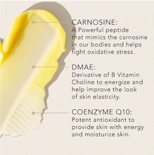 Load image into Gallery viewer, Auro Skincare Rise + Revive 1 Fl OZ (30 ml)