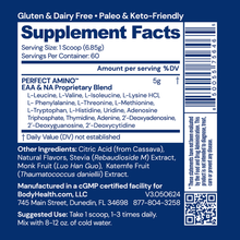 Load image into Gallery viewer, Perfect Amino Lemon Lime Powder 14.5oz. 60  servings (BodyHealth)