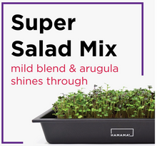Load image into Gallery viewer, Hamama Super Salad Mix Microgreens Quilt