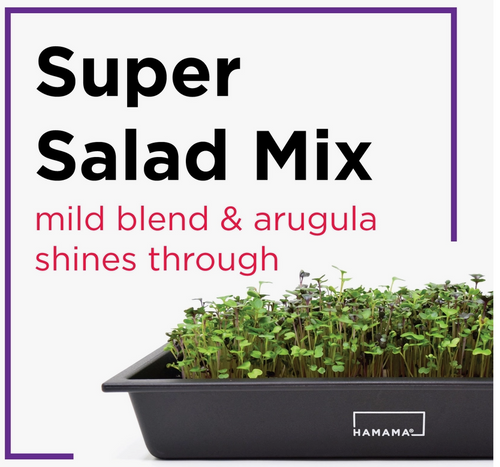 Hamama Super Salad Mix Microgreens Quilt