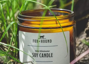 Fox + Hound Odor Eliminator Candle K-9 Collection Pax Spiced Honey