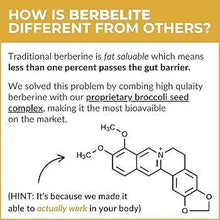 Load image into Gallery viewer, BerbElite 60 capsules