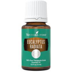 Young Living Eucalyptus Radiata 15mL