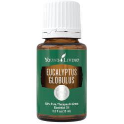 Young Living Eucalyptus Globulus 15mL